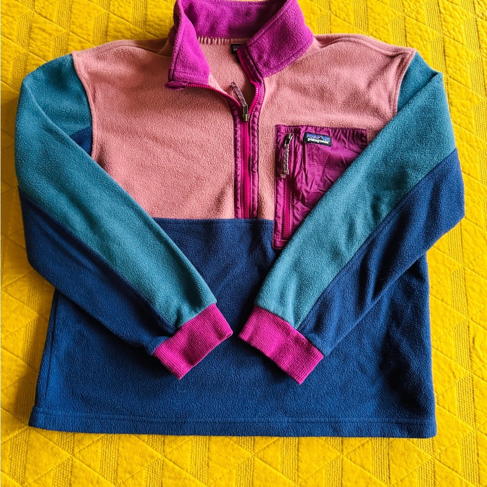 Patagonia Colorblock Fleece Pullover